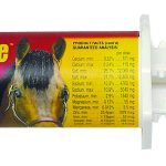 Rapid absorption electrolyte paste