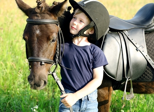 A bond between a horse and boy