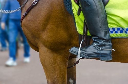 People tend to have friendlier reactions with police officers on horses, according to a new study.