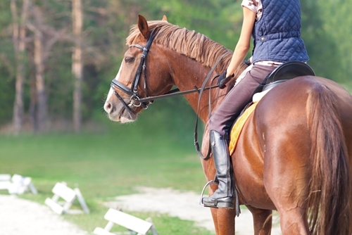 3 of the best destinations to go horseback riding