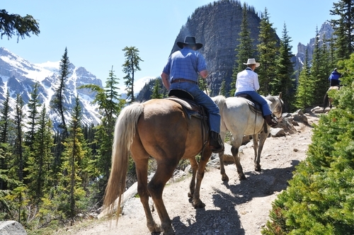 Tricks for riding the trail with your horse