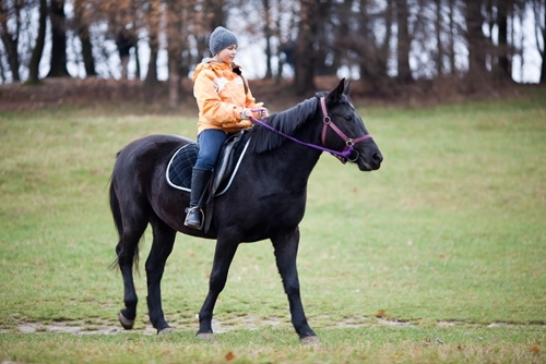4 health benefits of horseback riding