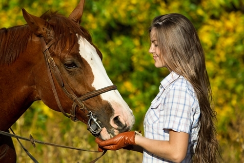 You might need to start adjusting an older horse's diet so they are receiving the vitamins and minerals they need to thrive.