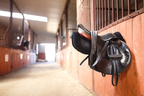 Here's what you need to know about proper saddle placement.