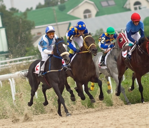 A recent study shows racehorses are continuously getting faster.