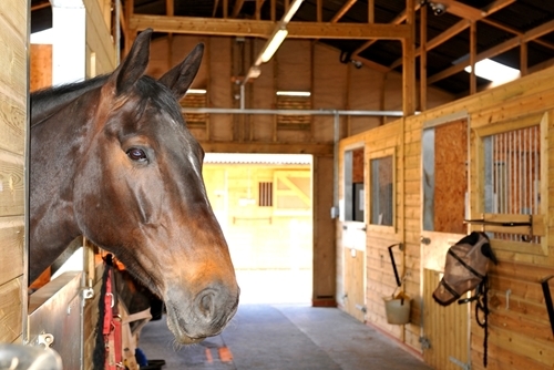 Having the right facility for your horse is about planning ahead.