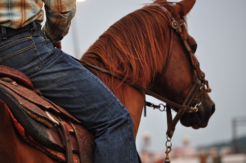 Tying up can occur when horses are forced to perform beyond their capabilities.
