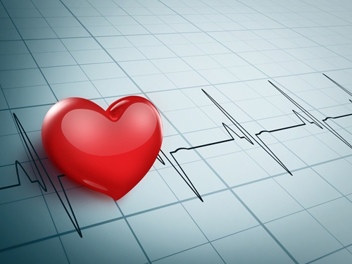 Vets use electrocardiographs and other tests to diagnose heart conditions.