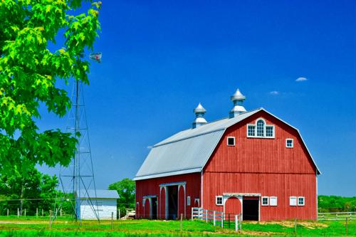Keep your barn well ventilated to promote horse health.