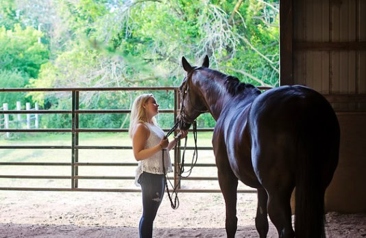 A blood builder can aid in preventing a horse from getting anemia and also in improving athletic