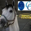 Finish Line® Horse Products is a proud sponsor of the Classic and Gulf Coast Classic Horse Shows!