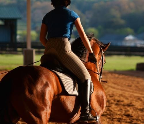 Conditioning is a best practice for getting horses to peak performance and physical fitness.