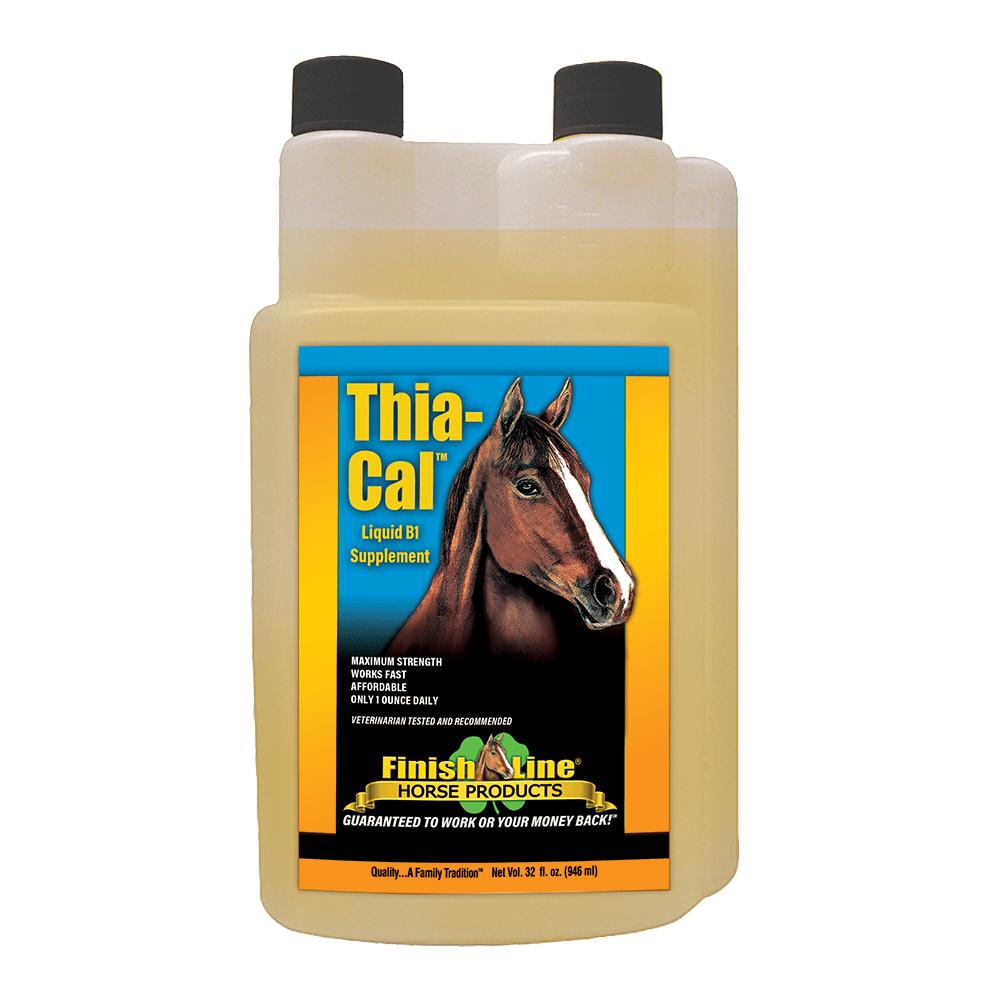horse products