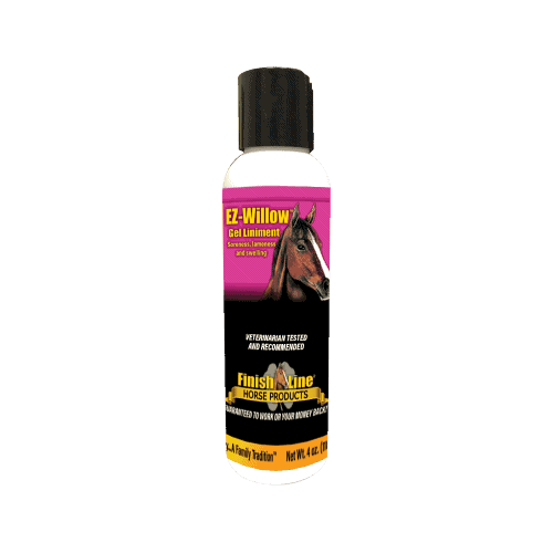 EZ Willow medicated horse liniment