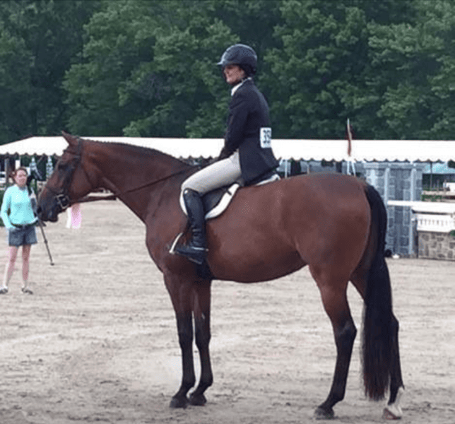 hunter jumper pony testimonial