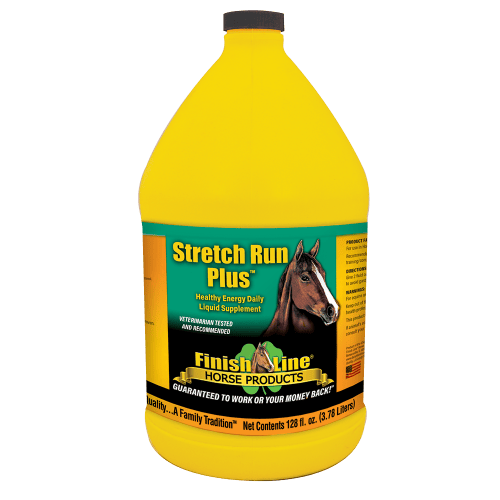 Recovery supplement for performance horses