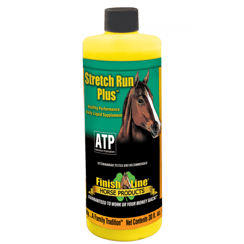 stretch run - healthy energy for horses