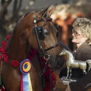 Virginia Godwin Arabian nationals
