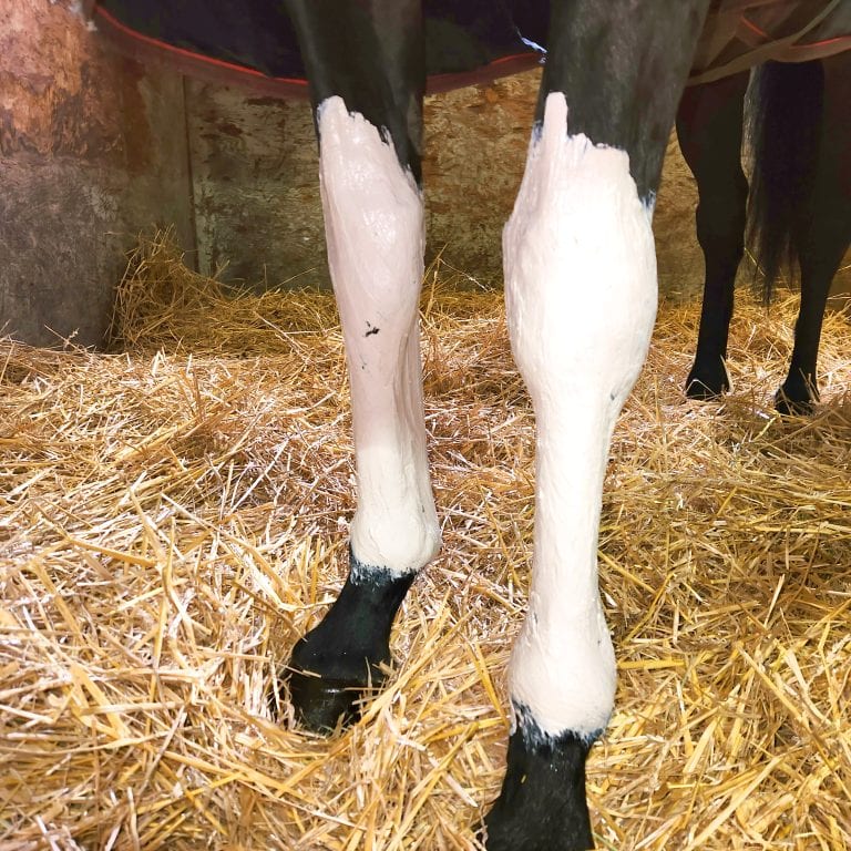 The History Behind Poultice
