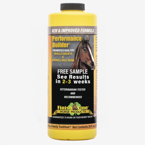 Saddlebred Journal Performance Builder Sample