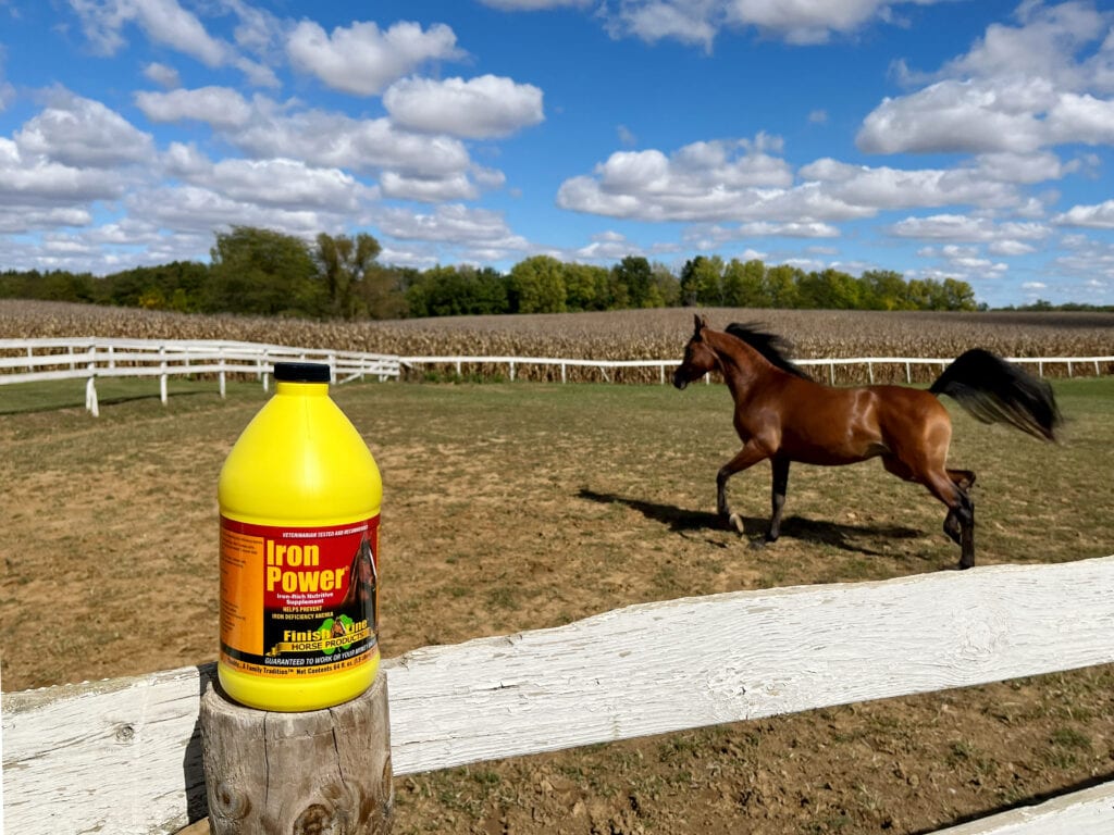 Iron Power by Finish Line Horse Products