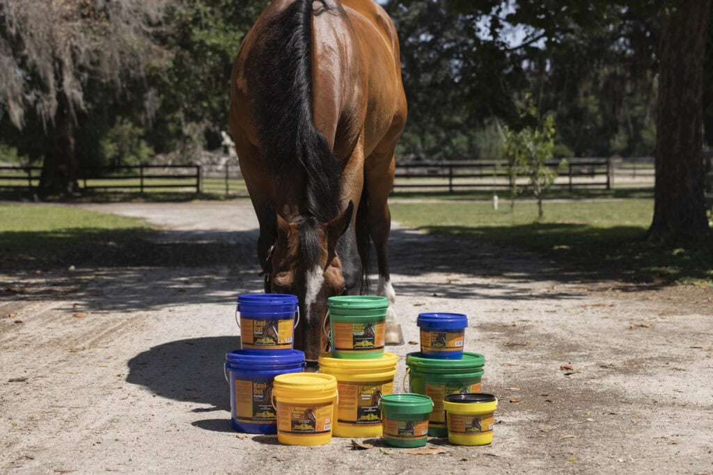 Horse Poultices by Finish Line Horse Products. Kool-Out™, Original Premium™, and EZ-Willow™ Poultice