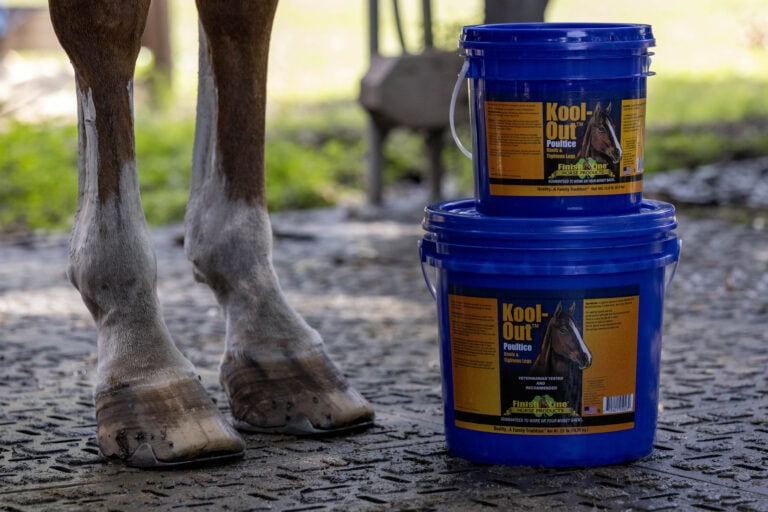 A horse's hooves next to a poultice called Kool-Out™