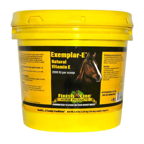 Exemplar-E™ - Image 3