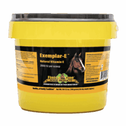 Exemplar-E™