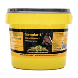 Exemplar-E™ Promo October 2025